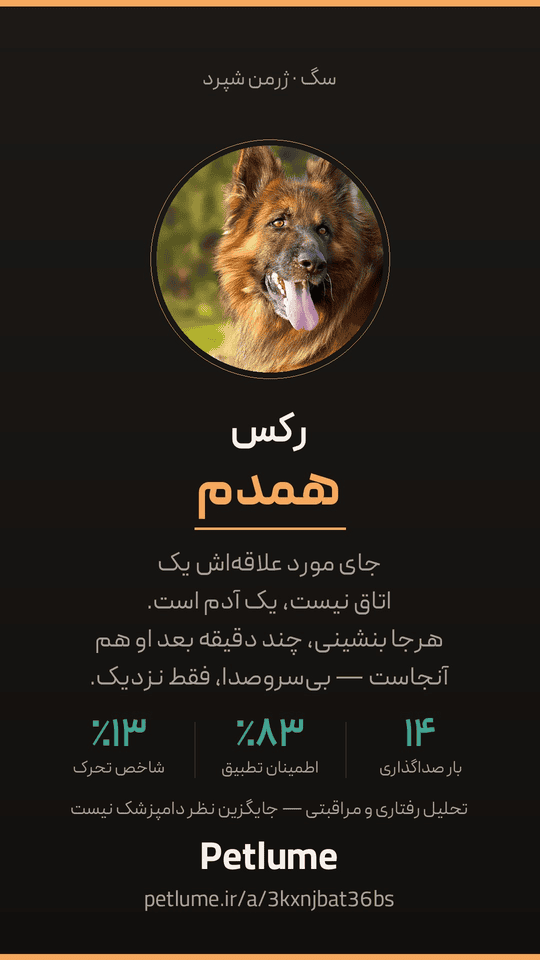 کارت نتیجهٔ عمودی Petlume: بالای کارت «سگ · ژرمن شپرد»، عکس گرد یک سگ ژرمن‌شپرد، نام «رکس»، تیپ رفتاری «همدم» و دو جملهٔ توضیح؛ پایین‌تر سه سنجهٔ تحلیل، یادآوری مرز مشاوره، و نام و نشانی صفحهٔ نتیجه